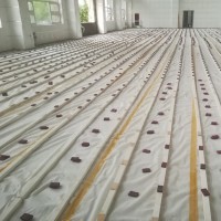 单层龙骨运动地板