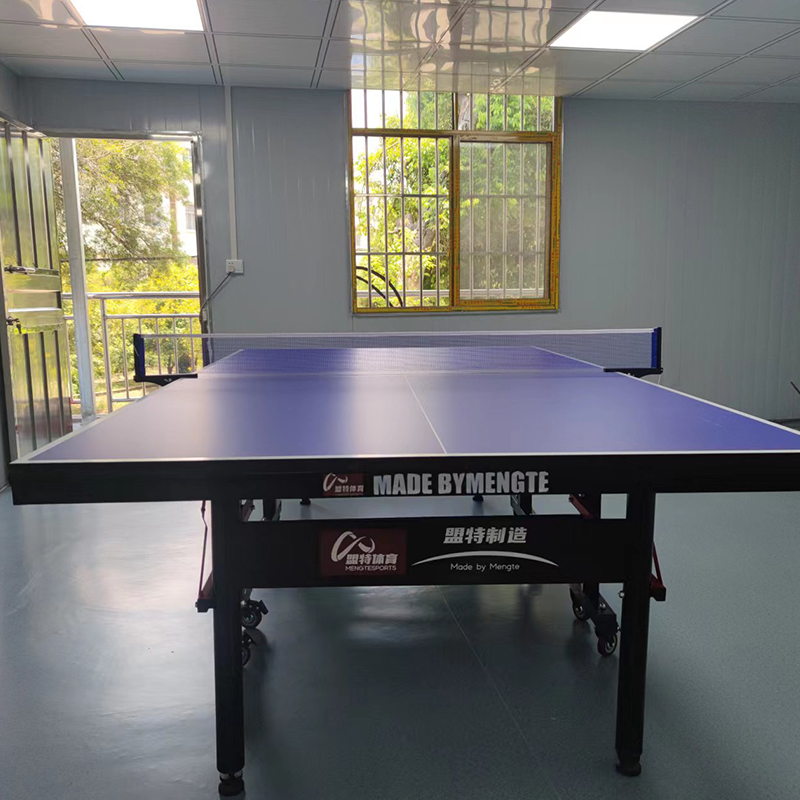 leyu.乐鱼乒乓球桌